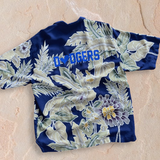 isLAnd Vintage LA Shirt